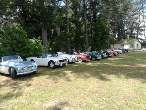 panoramica delle macchine con in prima fila l'Austin Healey di Giovanni